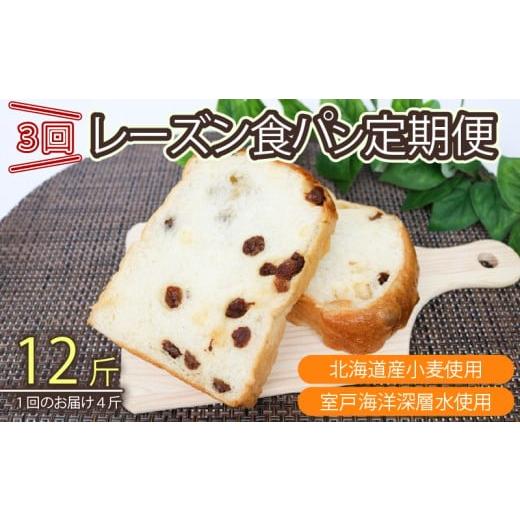 ふるさと納税 パン 食パン 高知県 室戸市 3回定期便 レーズン食パンセット 室戸海洋深層水仕込み 4斤×3回 食パン もちもち ぱん 北海道産小麦使用 朝食 ギフ…