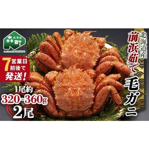 ふるさと納税 カニ 毛ガニ 北海道 森町 7営業日前後で発送 北海道 毛ガニ 容量が選べる 前浜茹で毛がに 約320g〜360g 2尾 かに カニ 蟹 ガニ がに 森町 毛蟹 …