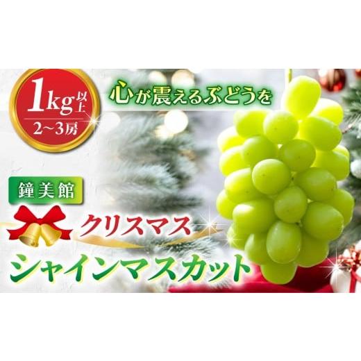 ふるさと納税 ぶどう マスカット 長野県 東御市 先行受付2026年発送 標高750mで育ったクリスマスシャインマスカット1キロ以上(2〜3房) |鐘美館 2026年12…
