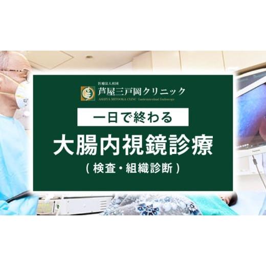 ふるさと納税 体験チケット 兵庫県 芦屋市 1日で終わる 大腸内視鏡診療 (日帰り) 1名様 芦屋三戸岡クリニック 消化器内視鏡専門クリニック 大腸検査 内視鏡検…_1