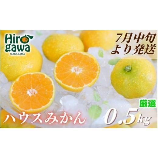ふるさと納税 果物類 みかん 和歌山県 広川町 ハウスみかん 0.5kg+250g(傷み補償) 厳選/ 温室みかん 有田みかん 甘い 訳あり 和歌山 柑橘 7月中旬〜8月下旬に…