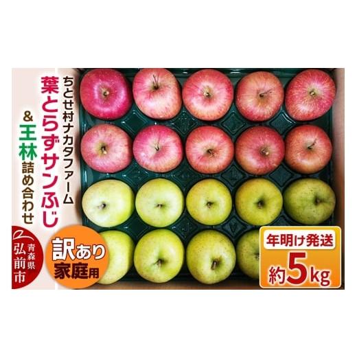 ふるさと納税 りんご 青森県 弘前市 26年1月〜発送 りんご 葉とらずサンふじ & 王林 詰め合わせ 約5kg 家庭用 訳あり ちとせ村