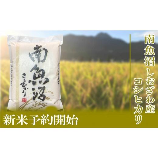 ふるさと納税 米 コシヒカリ 新潟県 南魚沼市  令和8年産 新米予約 定期便／２kg×6ヶ月 生産者限定 南魚沼しおざわ産コシヒカリ 2026年10月上旬から1ヶ月以…の画像
