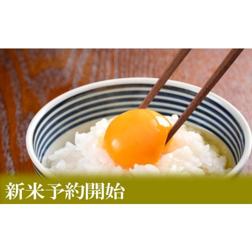 ふるさと納税 米 コシヒカリ 新潟県 南魚沼市  令和8年産 新米予約 定期便／２kg×6ヶ月 生産者限定 南魚沼しおざわ産コシヒカリ 2026年10月上旬から1ヶ月以…の画像