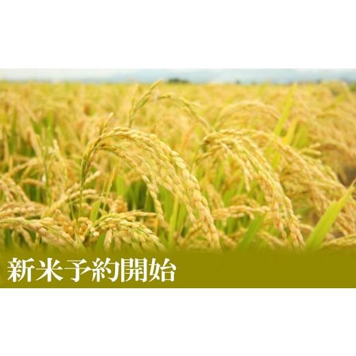 ふるさと納税 米 コシヒカリ 新潟県 南魚沼市  令和8年産 新米予約 定期便／２kg×6ヶ月 生産者限定 南魚沼しおざわ産コシヒカリ 2026年10月上旬から1ヶ月以…の画像