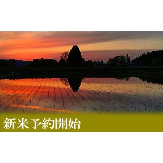ふるさと納税 米 コシヒカリ 新潟県 南魚沼市  令和8年産 新米予約 定期便／２kg×6ヶ月 生産者限定 南魚沼しおざわ産コシヒカリ 2026年10月上旬から1ヶ月以…の画像