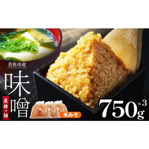 ふるさと納税 味噌 米味噌 山口県 美祢市 美祢市産 米みそ 750g×3 セット | 調味料 米 米味噌 味噌 みそ 美祢市 山口県 米みそ 750g×3