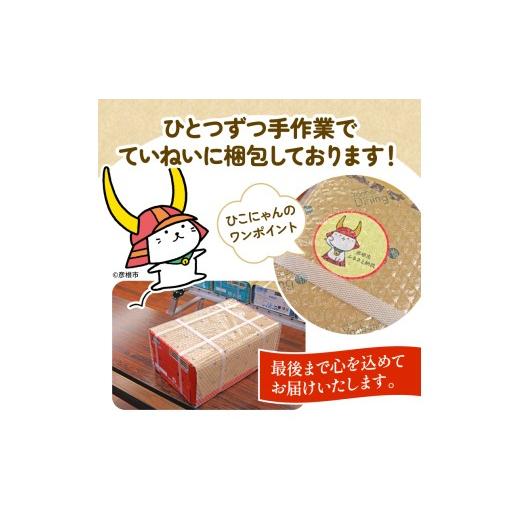 ふるさと納税 ビール 滋賀県 彦根市 キリン 晴れ風 12ヵ月定期便 500ml