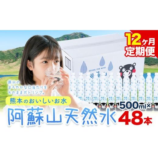ふるさと納税 水・ミネラルウォーター 熊本県 御船町  12ヶ月定期便 水 熊本 の おいしい お水 阿蘇山 天然水数 500ml×48本 2ケース 丸富産業《お申し込みの…の画像