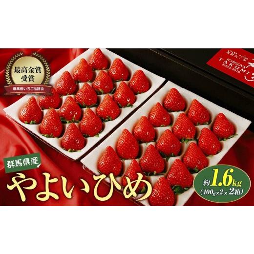 ふるさと納税 いちご 群馬県 前橋市 いちご やよいひめ400g×2 2箱 計1,600g 2027年 先行予約|朝採れ やみつき高品質 たっぷり 贈答用 新鮮 完熟 いちご 旬 …
