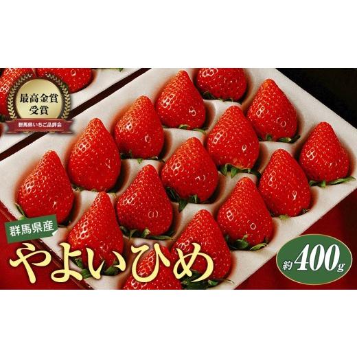 ふるさと納税 いちご 群馬県 前橋市 いちご やよいひめ 約400g 1シート 群馬県いちご品評会最高金賞受賞 2027年 先行予約|朝採れ やみつき高品質 たっぷり 贈…