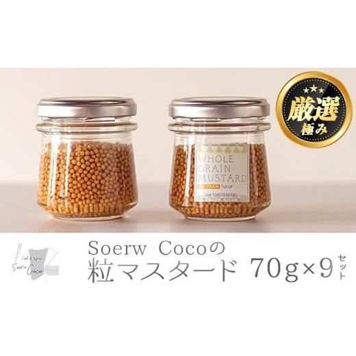 ふるさと納税 たれ・ドレッシング・酢 鹿児島県 東串良町 0214214a Soerw Cocoの粒マスタード(70g×9セット) 調味料 からし 料理 Food&SpiceSoerwCoco 9個(7…