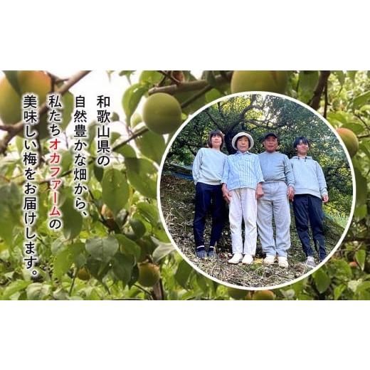 ふるさと納税 加工品等 梅干 和歌山県 九度山町 定期便（4月・8月・12月）全3回お届け 紀州南高梅使用 はちみつ うす塩味 完熟梅干し 無選別 1kg ［TM215］_6