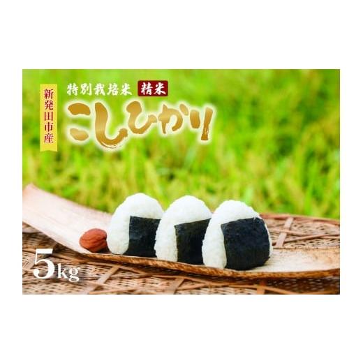 ふるさと納税 米 コシヒカリ 新潟県 新発田市 2026年1月発送 令和7年産 特別栽培米コシヒカリ 5kg 新米 先行予約 減農薬 特栽米 新潟県産コシヒカリ 新潟米 …