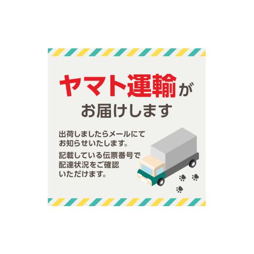 ふるさと納税 美容・健康家電 東京都 新宿区 CELLZERO Sakura エステ
