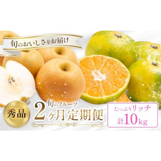 ふるさと納税 梨 熊本県 荒尾市 旬の フルーツ 定期便 2ヶ月連続 秀品 リッチ 日本フルーツ株式会社[9月上旬-10月末頃出荷]熊本県 荒尾市 おまかせ 梨 極早…