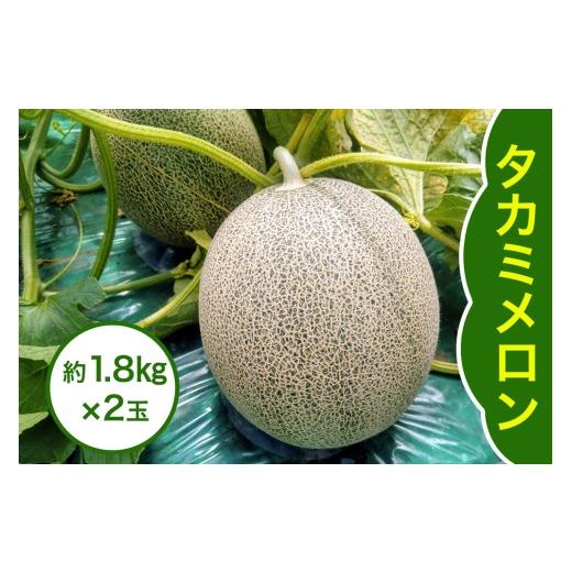 ふるさと納税 メロン メロン青肉 青森県 つがる市 タカミ メロン 約1.8kg×2玉|2026年 令和8年 青森 津軽 つがる産 タカミ メロン めろん 特産 ジューシー 糖…