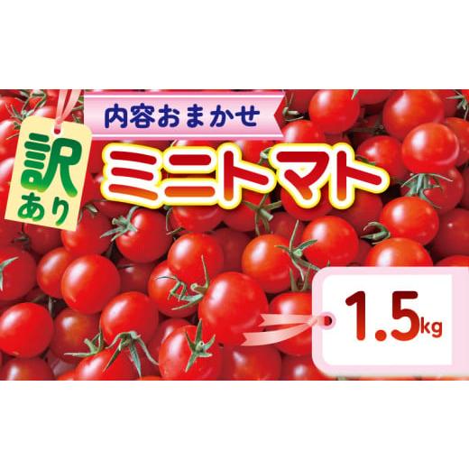 ふるさと納税 トマト ミニトマト 千葉県 旭市 訳あり 品種おまかせ ミニトマト (2種以上) 約 1.5kg とまと トマト ミニトマト みにとまと 完熟 期間限定 冷蔵…