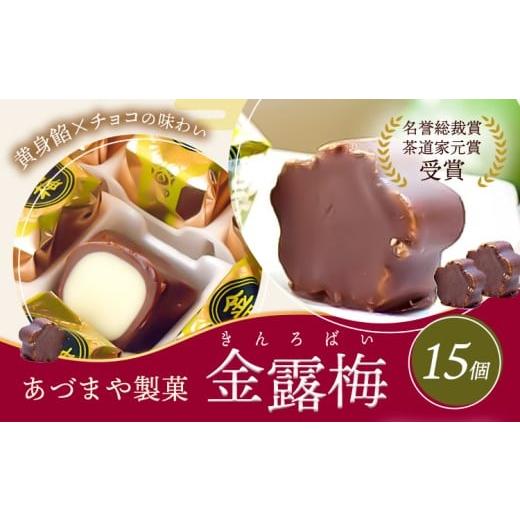 ふるさと納税 和菓子 徳島県 美馬市 和菓子 黄身餡子 チョコレート 金露梅 15個 あづまや製菓有限会社 [30日以内に出荷予定(土日祝除く)] 徳島県 美馬市 阿…