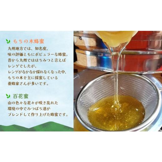ふるさと納税 加工品等 はちみつ 佐賀県 基山町 みよしのみつ(百花蜜・みかん・もちの木)220g×3本 はちみつ 百花蜜 みかん もちの木 国産 ミツバチ 甘み スッ…の画像