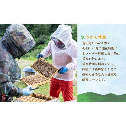 ふるさと納税 加工品等 はちみつ 佐賀県 基山町 みよしのみつ(百花蜜・みかん・もちの木)220g×3本 はちみつ 百花蜜 みかん もちの木 国産 ミツバチ 甘み スッ…の画像