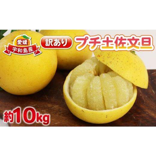 ふるさと納税 果物類 みかん 愛媛県 宇和島市 文旦 訳あり プチ 土佐文旦 10kg 杉本屋 わけあり 訳あり品 ぶんたん 果物 くだもの フルーツ 柑橘 蜜柑 みかん …