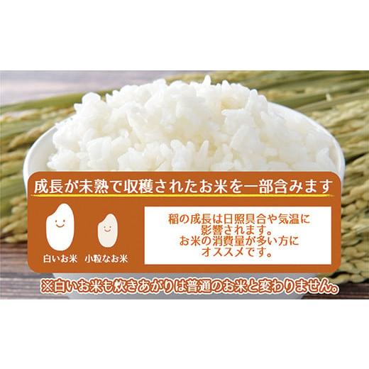ふくきらり5kg × 4袋 計20kg 福岡県赤村産 ふるさと納税 米 福岡県 赤村 令和6年産 緊急支援品 10営業日