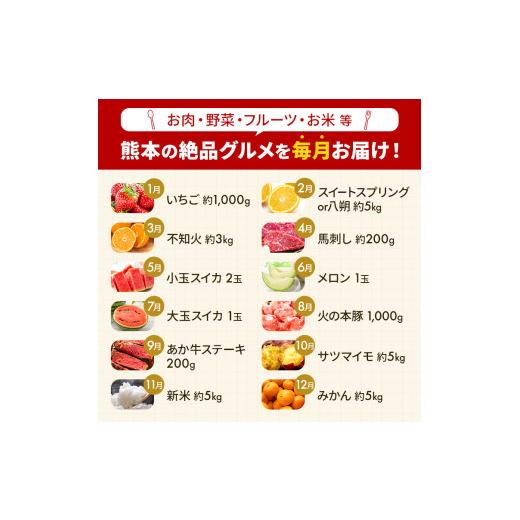 ふるさと納税 果物類 熊本県 和水町  定期便 8回 支援 企画 くまもと 生産 農家 応援 定期便 | 熊本県 熊本 くまもと 和水町 なごみ町 なごみ いちご スイカ …_2