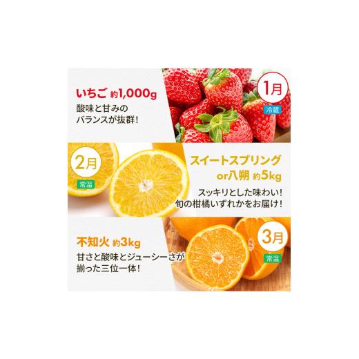 ふるさと納税 果物類 熊本県 和水町  定期便 8回 支援 企画 くまもと 生産 農家 応援 定期便 | 熊本県 熊本 くまもと 和水町 なごみ町 なごみ いちご スイカ …_3
