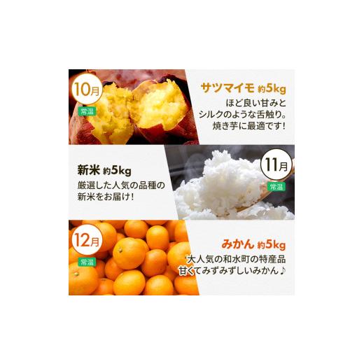 ふるさと納税 果物類 熊本県 和水町  定期便 8回 支援 企画 くまもと 生産 農家 応援 定期便 | 熊本県 熊本 くまもと 和水町 なごみ町 なごみ いちご スイカ …_6