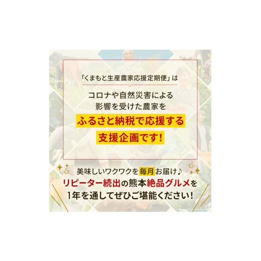 ふるさと納税 果物類 熊本県 和水町  定期便 8回 支援 企画 くまもと 生産 農家 応援 定期便 | 熊本県 熊本 くまもと 和水町 なごみ町 なごみ いちご スイカ …_7