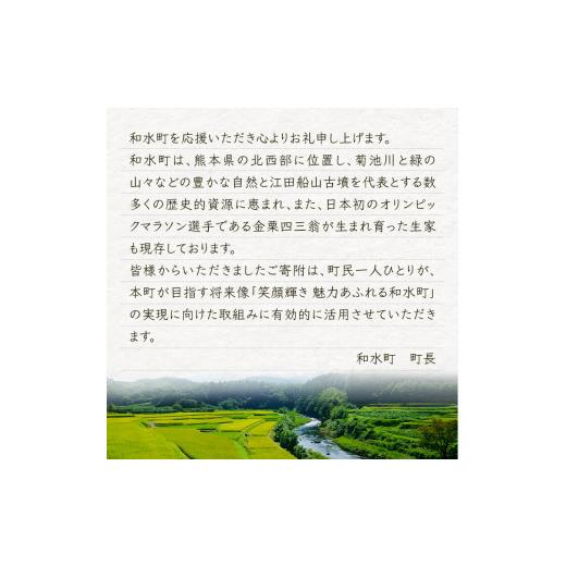 ふるさと納税 果物類 熊本県 和水町  定期便 8回 支援 企画 くまもと 生産 農家 応援 定期便 | 熊本県 熊本 くまもと 和水町 なごみ町 なごみ いちご スイカ …_8