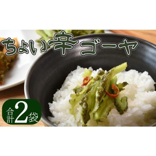 ふるさと納税 加工品等 漬物 宮崎県 国富町 ちょい辛ゴーヤ 合計2袋 選べる お届け内容 お漬物 つけもの おつまみ ピリ辛 かつおぶし かつお節 料理 一品 夕…