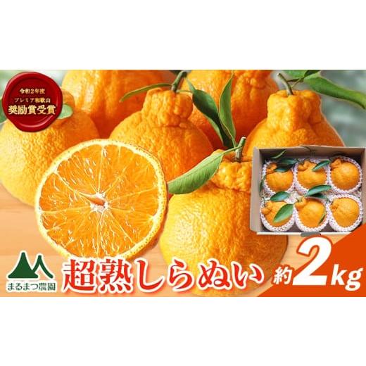 ふるさと納税 みかん・柑橘類 デコポン 和歌山県 日高町 採れたて新鮮 濃厚な甘さ 超完熟しらぬい 約2kg まるまつ農園[3月中旬-4月末頃出荷] 和歌山県 日高…