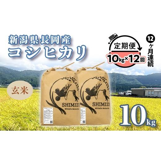ふるさと納税 玄米 新潟県 長岡市 N5-G10Z 12ヶ月連続お届け 新潟県長岡産コシヒカリ玄米10kg