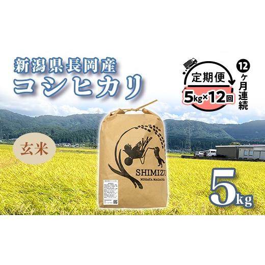 ふるさと納税 玄米 新潟県 長岡市 N5-G05Z 12ヶ月連続お届け 新潟県長岡産コシヒカリ玄米5kg