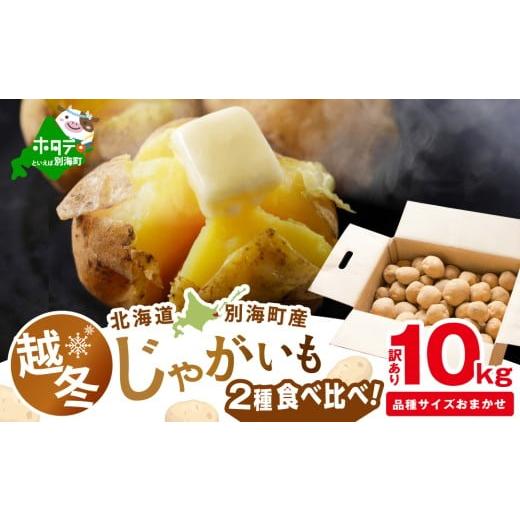 ふるさと納税 野菜類 じゃがいも 北海道 別海町 2026年3〜4月発送 北海道別海町産 越冬じゃがいも10kg(2種おまかせ) JV0000004 (きたあかり、ワセシロ、男爵…