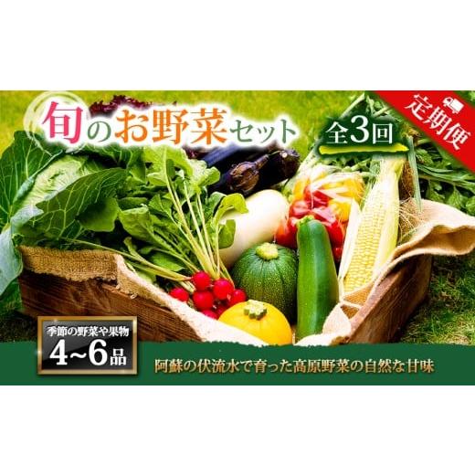 ふるさと納税 セット・詰合せ 熊本県 阿蘇市 定期便 全3回 畑から直送 季節のお野菜セットをお届け 旬のお野菜の中から4〜6品を計3回お届け 野菜 新鮮 野菜セ…