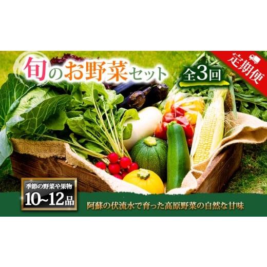 ふるさと納税 セット・詰合せ 熊本県 阿蘇市 定期便 全3回 畑から直送 季節のお野菜セット XLサイズ10〜12品をお届け 3回 定期便 野菜 新鮮 野菜セット 定期…