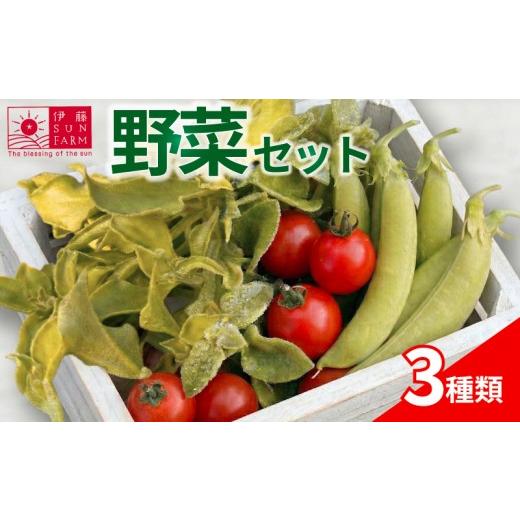 ふるさと納税 セット・詰合せ 千葉県 旭市 伊藤SUN FARM 野菜セット