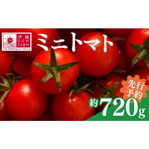 ふるさと納税 トマト ミニトマト 千葉県 旭市 訳あり 先行予約 ミニトマト 約 720g トマト プチトマト 小分け 甘い 野菜 やさい サラダ フルーツ 新鮮 旬 ジ…