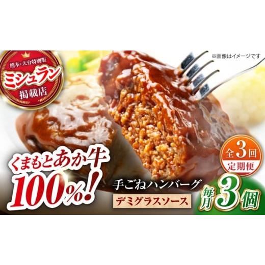ふるさと納税 牛肉 ハンバーグ 熊本県 山鹿市 全3回定期便 くまもとあか牛100%手ごねハンバーグ デミグラスソース煮込み(約300g×3個 デミグラスソー…