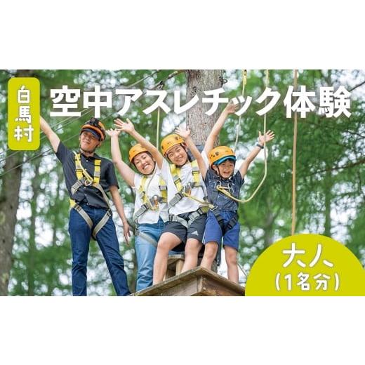 ふるさと納税 体験チケット 長野県 白馬村 空中アスレチック体験(大人1名)/長野県白馬村 アクティビティ EXアドベンチャー ジップライン 森林アスレチック …