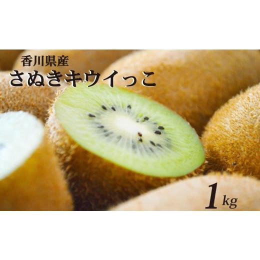 ふるさと納税 果物類 香川県 丸亀市 一口サイズ さぬきキウイっこ 約1kg 香川県産 キウイっこ キウイ キウイフルーツ 果物 ふるさと納税キウイ 香川県 丸亀市 …