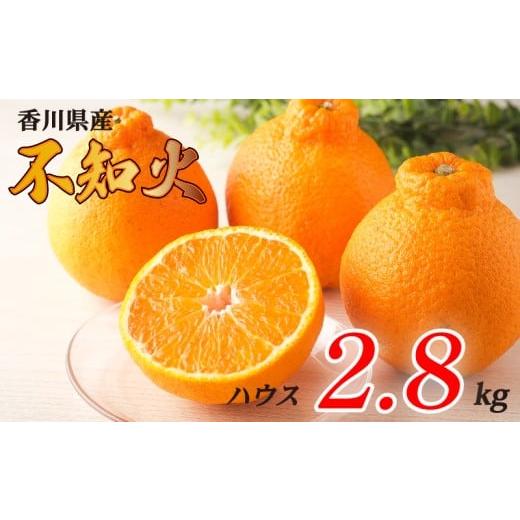 ふるさと納税 みかん・柑橘類 デコポン 香川県 丸亀市 不知火 選べる 約2.8kg ハウス 常温 先行予約 フルーツ 果物 柑橘 しらぬい みかん ふるさと納税みかん …