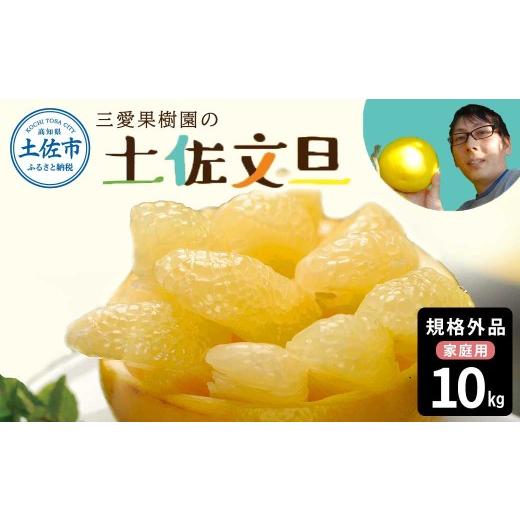 ふるさと納税 地域のお礼の品 高知県 土佐市 先行予約 文旦 約10kg 10キロ L〜4Lサイズ[2027年2月上旬から順次発送] 土佐文旦 みかん 柑橘 ぶんたん ブン…