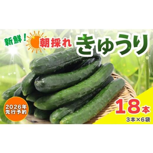 ふるさと納税 野菜類 千葉県 旭市 2026年 先行予約 新鮮 朝採れきゅうり 18本入り きゅうり 胡瓜 野菜 夏野菜 サラダ 冷麺 漬物 漬け物 ぬか漬け 酢の物 1本…
