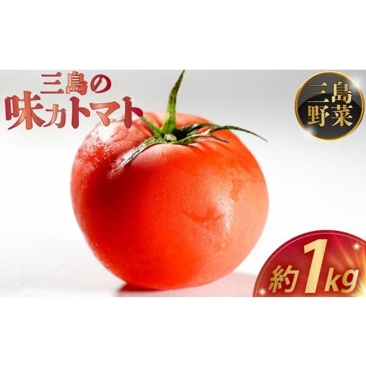 ふるさと納税 野菜類 トマト 静岡県 三島市 予約受付中 三島の味力トマト 1kg 完熟 高糖度 フルーツトマト とまと 贈答用 1万円以下 産地直送 国産 朝採れ 新…