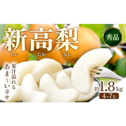 ふるさと納税 梨 熊本県 荒尾市 先行予約 新高梨 約1.8kg(4〜7玉) 日本フルーツ株式会社 [9月上旬-10月上旬頃出荷]熊本県 荒尾市 新高梨 梨 果物 フルーツ…