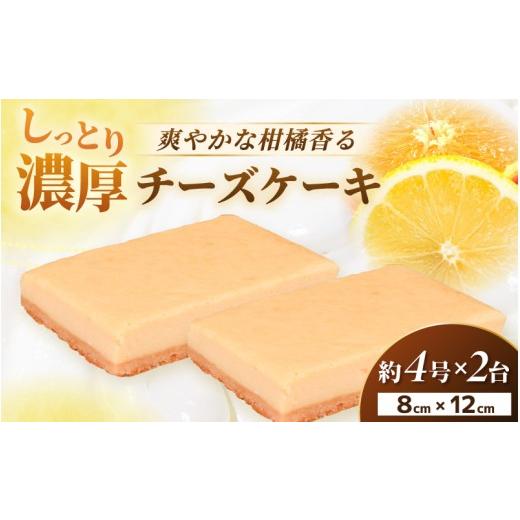 ふるさと納税 ケーキ・カステラ チーズケーキ 福井県 越前町 濃厚スイーツ チーズケーキ スクエア(8cm×12cm×2個セット) 2026年10月発送 デザート 菓子 お…